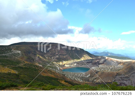 Zao ginkgo 107676226