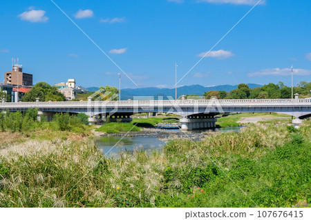 Kamo Ohashi Bridge over the Kamogawa River 107676415