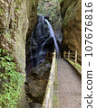 Nakatsu峽穀雨龍瀑布 107676816