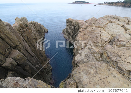 越前海岸東尋坊禦池(海灣) 越前海岸東尋坊禦池(海灣) 107677641