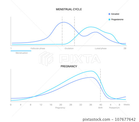 Hormones in pregnancy Hormones in pregnancy 107677642