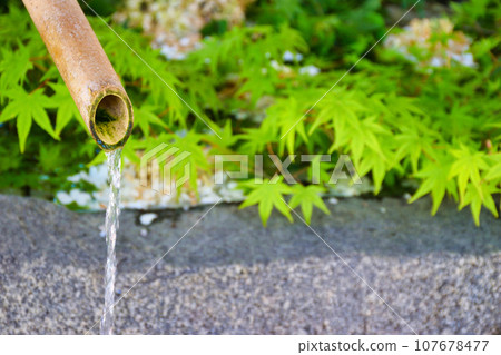 Kyoto Kamigamo Shrine's hand-watering hall famous water "Kamiyama Yusui" Kyoto Kamigamo Shrine's hand-watering hall famous water "Kamiyama Yusui" 107678477