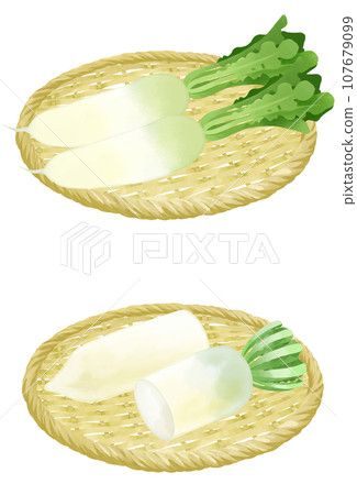 Illustration set of radish on a colander Illustration set of radish on a colander 107679099