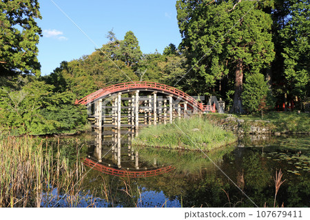秋天Niyuu寺廟賣寺廟 107679411