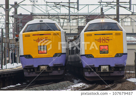 [Driver etc. blurred] 485 series 3000 limited express Shiratori JR departs at Hokkaido Goryokaku Station 107679487