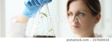 Woman holds glass flask with soil looking at cannabis plant Woman holds glass flask with soil looking at cannabis plant 107680016