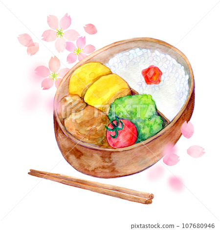 Watercolor illustration cherry blossom viewing lunch box cherry blossom viewing image 107680946