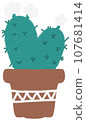 Cactus 107681414