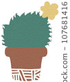Cactus 107681416