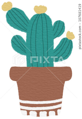 Cactus 107681419