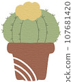 Cactus 107681420