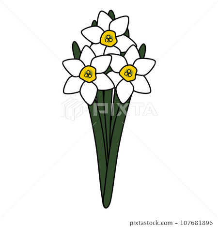 流行可愛的水仙花插畫 流行可愛的水仙花插畫 107681896