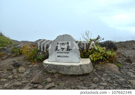 Mihigahara kogen殿下 Mihigahara kogen殿下 107682346