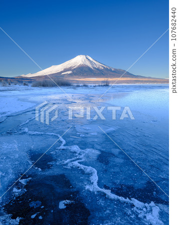 山梨縣_山中湖結冰和黎明時的壯麗景色 107682440