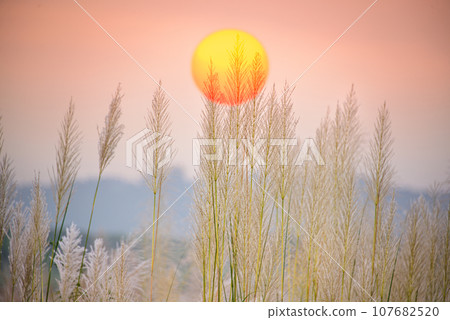 Twilight Serenity Twilight Serenity 107682520