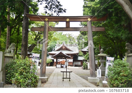 Imperial envoy hall and worship hall beyond the Nakatorii gate of Takemizu Shrine Imperial envoy hall and worship hall beyond the Nakatorii gate of Takemizu Shrine 107683718