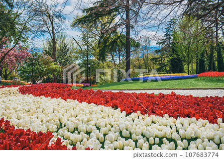 Emirgan Park, Istanbul 107683774
