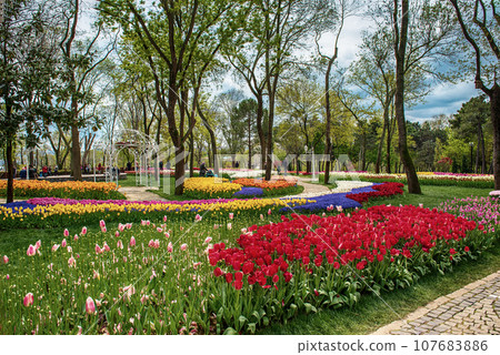 Emirgan Park, Istanbul 107683886