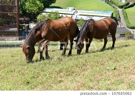 倉池公園觀光農場 倉池公園觀光農場 107685062