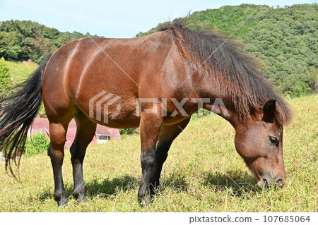 倉池公園觀光農場 倉池公園觀光農場 107685064