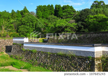 [Kumamoto Prefecture] Mizunote Monzeki of Hitoyoshi Castle on a clear day 107685243