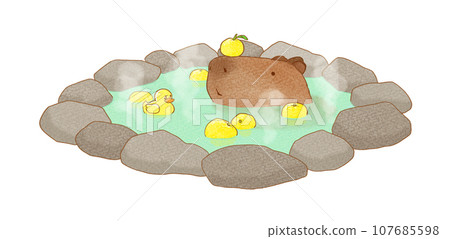 Capybara in yuzu bath 107685598