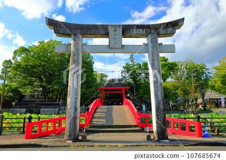 [Kumamoto Prefecture] Aoi Aso Shrine (Misogi Bridge) on a sunny day 107685674