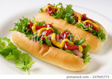 Delicious hot dog 107685773