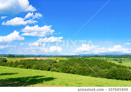 北海道美瑛町信榮之丘展望公園的夏日景色 北海道美瑛町信榮之丘展望公園的夏日景色 107685809