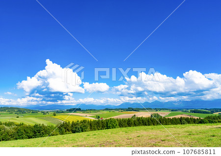Summer view of Shinei no Oka Observatory Park, Biei Town, Hokkaido 107685811