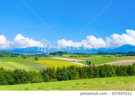 Summer view of Shinei no Oka Observatory Park, Biei Town, Hokkaido 107685812