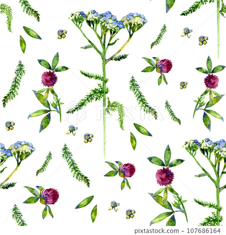 Wild flowers illustration. Watercolor seamless pattern 107686164