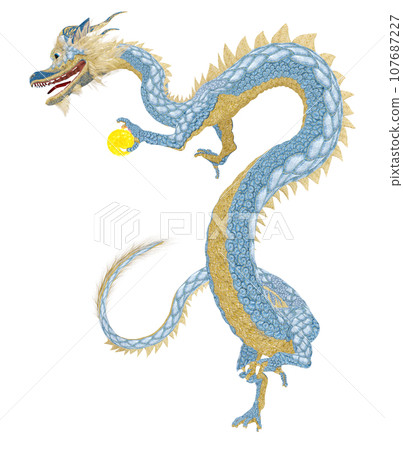 Realistic dragon illustration Realistic dragon illustration 107687227