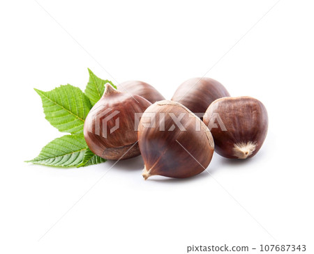 Chestnut with leaves on white backgrounds Chestnut with leaves on white backgrounds 107687343