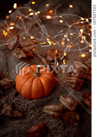Autumn vintage background composition with little pumpkin. Autumn vintage background composition with little pumpkin. 107687505