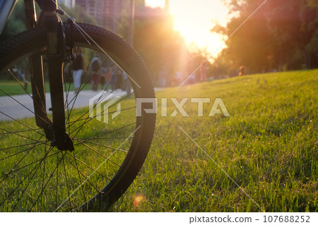 Front wheel of a bicycle close-up in the park at sunset. Sports lifestyle Front wheel of a bicycle close-up in the park at sunset. Sports lifestyle 107688252