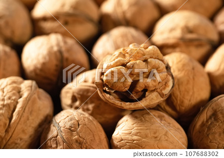 Walnut kernel and whole walnuts close-up. Background from fresh walnuts 107688302