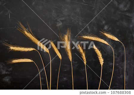 Ears of wheat on a black table. Top view Ears of wheat on a black table. Top view 107688308