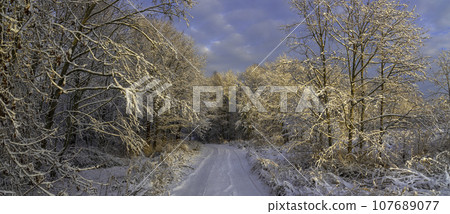 Beautiful winter rural road in natural park in the evening. Beautiful winter rural road in natural park in the evening. 107689077
