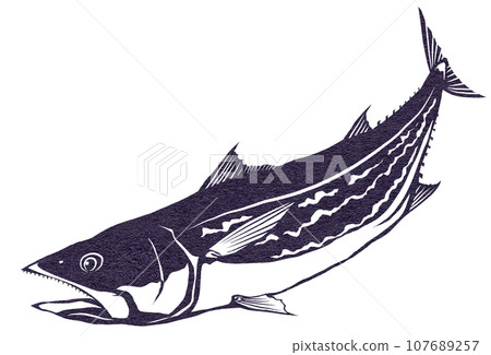 Simple illustration of mackerel 107689257