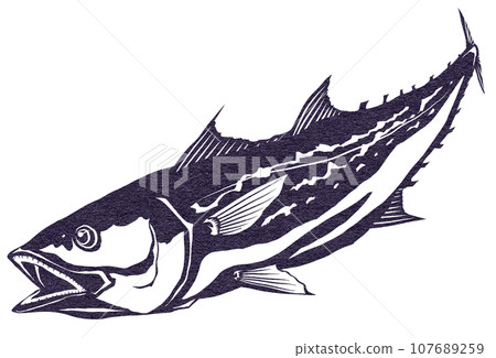 很酷的鯖魚圖 107689259
