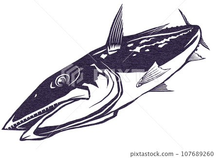 兇猛的日本鯖魚插圖 兇猛的日本鯖魚插圖 107689260