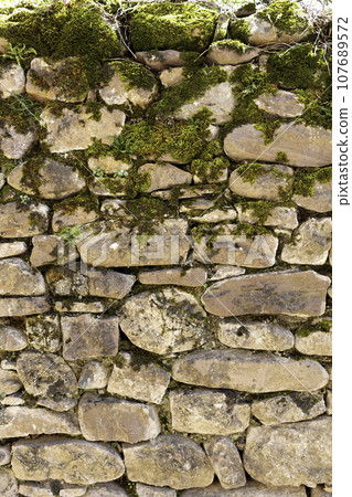 stone wall with moss stone wall with moss 107689572
