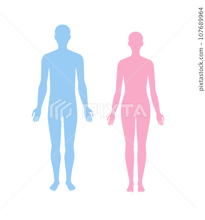 Standing slim man and woman silhouettes front view. Vector flat illustration isolated on white. Standing slim man and woman silhouettes front view. Vector flat illustration isolated on white. 107689964
