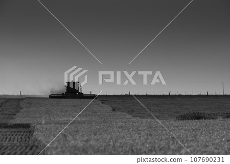 Tractor plowing the field, Pampas countryside, 107690231