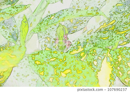 Aoki flower illustration 107690237