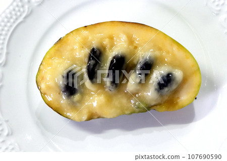 Pawpaw, fruit native to North America Pawpaw, fruit native to North America 107690590