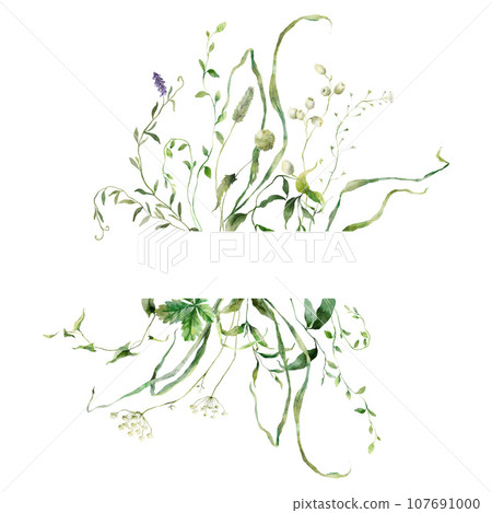 Watercolor horizontal frame of meadow flowers and grasses. Hand painted floral illustration isolated on white background. For design, print, fabric or background. Watercolor horizontal frame of meadow flowers and grasses. Hand painted floral illustration isolated on white background. For design, print, fabric or background. 107691000