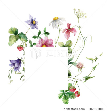 Watercolor floral frame of meadow flowers, raspberries, chamomiles and campanulas. Hand painted illustration isolated on white background. For design, print, fabric or background. Watercolor floral frame of meadow flowers, raspberries, chamomiles and campanulas. Hand painted illustration isolated on white background. For design, print, fabric or background. 107691003