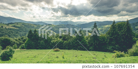 Green meadow on mountain background Green meadow on mountain background 107691354
